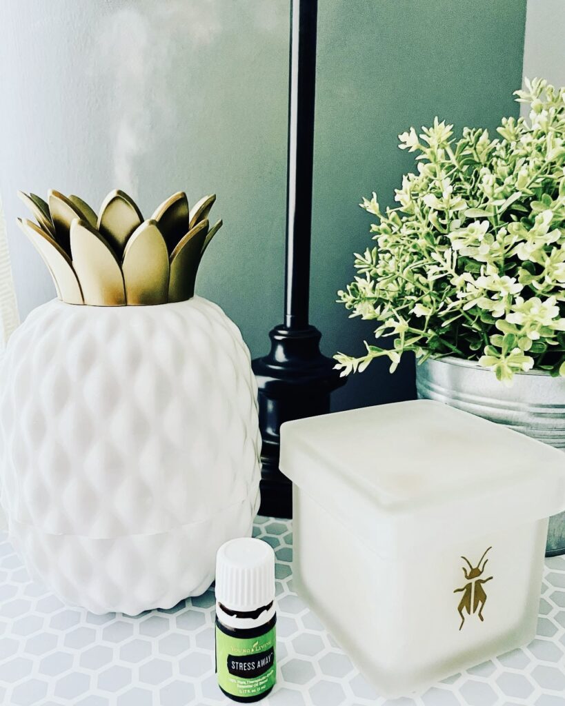 Pineapple decor, plant, candle, and essential oil.