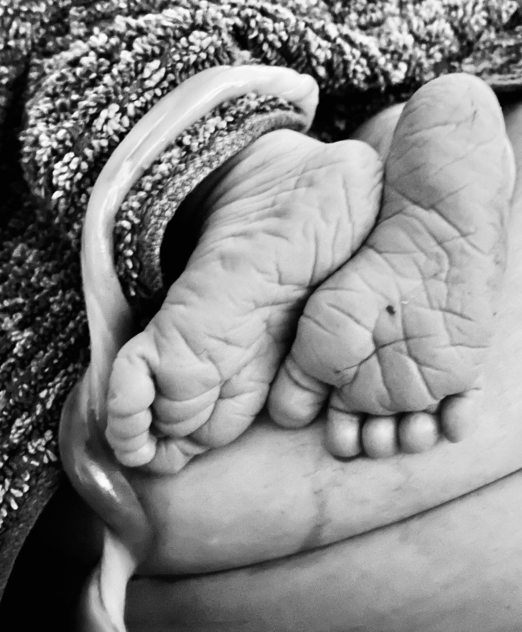 Close-up of tiny baby feet held gently in an adult hand.